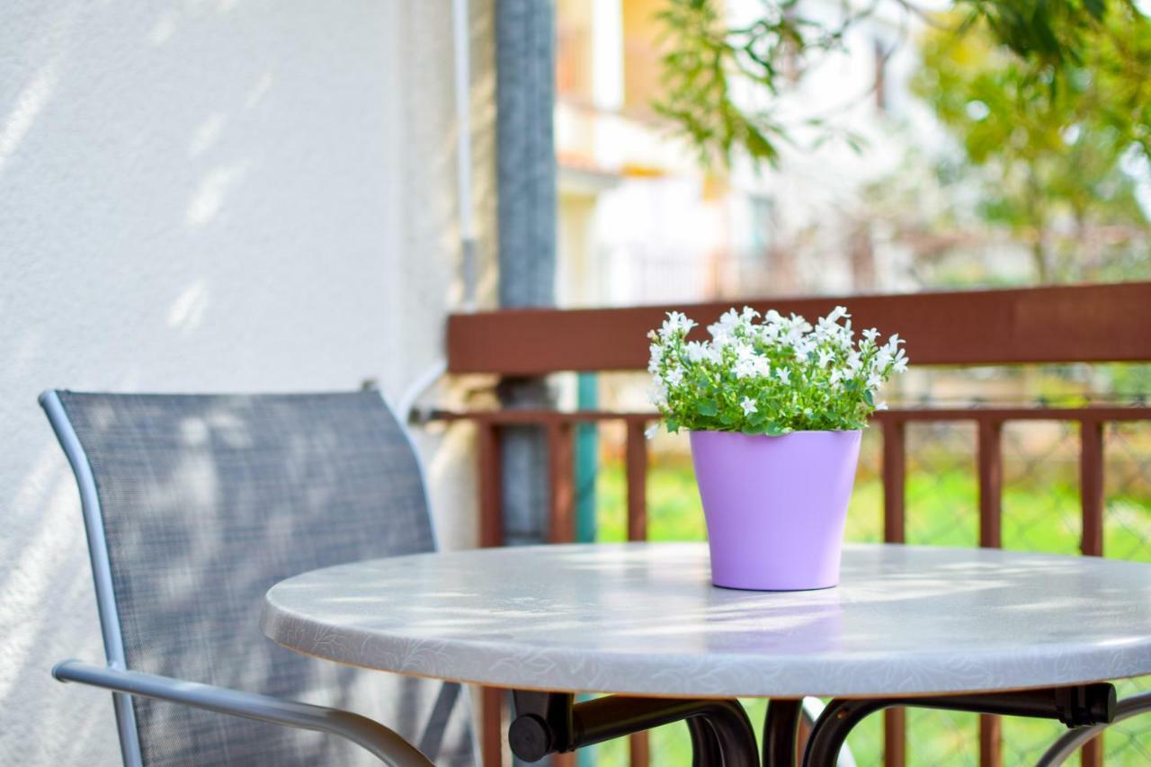 Apartment Darinka Pula Dış mekan fotoğraf